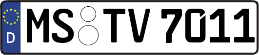 MS-TV7011