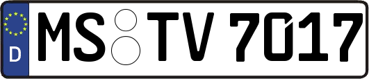 MS-TV7017