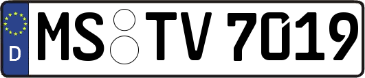 MS-TV7019