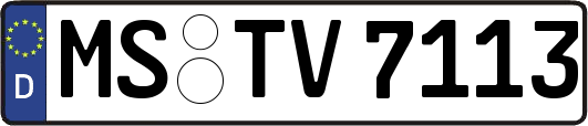 MS-TV7113