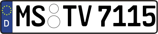MS-TV7115