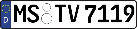 MS-TV7119