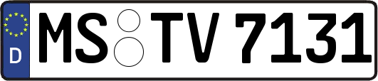 MS-TV7131