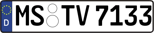 MS-TV7133