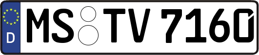 MS-TV7160