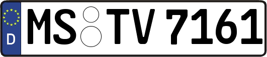 MS-TV7161