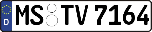MS-TV7164