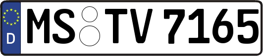 MS-TV7165