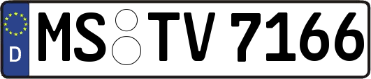 MS-TV7166