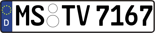 MS-TV7167