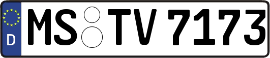 MS-TV7173
