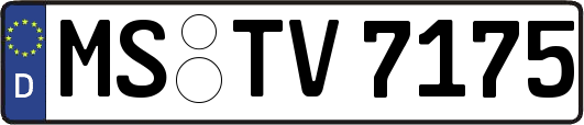 MS-TV7175