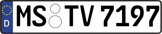 MS-TV7197