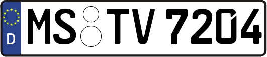 MS-TV7204
