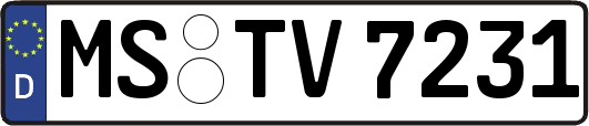 MS-TV7231