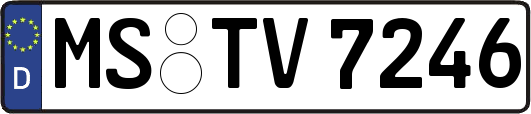 MS-TV7246
