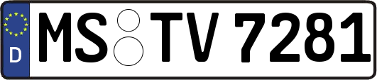 MS-TV7281