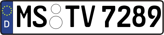 MS-TV7289