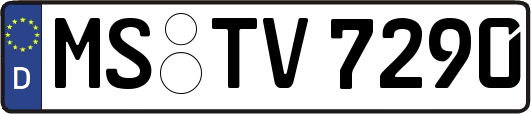 MS-TV7290