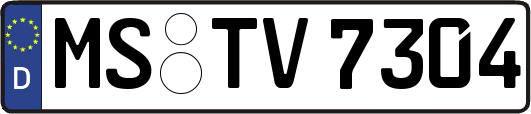 MS-TV7304