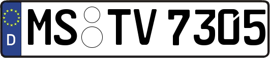 MS-TV7305