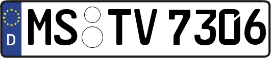 MS-TV7306