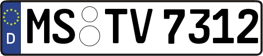 MS-TV7312