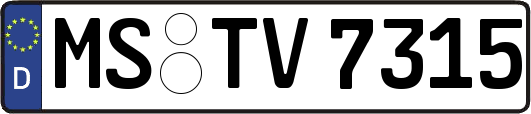 MS-TV7315