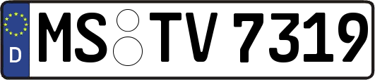 MS-TV7319