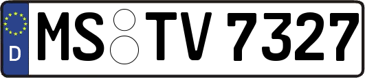 MS-TV7327