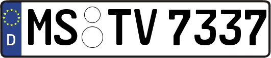 MS-TV7337