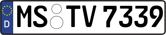 MS-TV7339