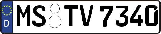 MS-TV7340