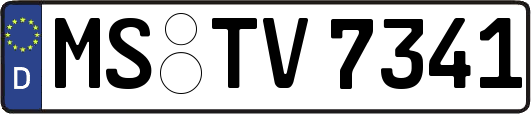 MS-TV7341
