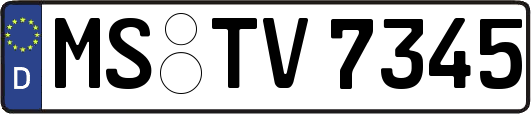 MS-TV7345