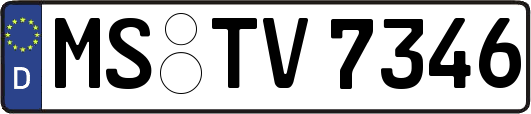 MS-TV7346
