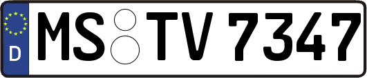 MS-TV7347