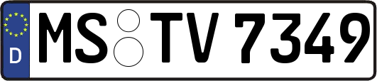 MS-TV7349
