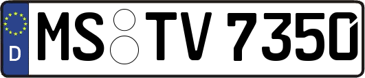 MS-TV7350