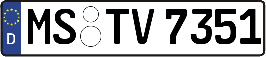 MS-TV7351
