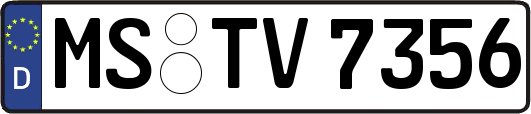 MS-TV7356