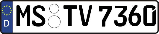 MS-TV7360