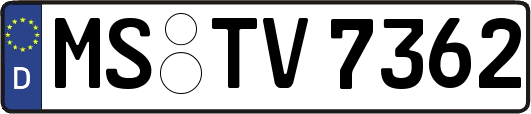 MS-TV7362