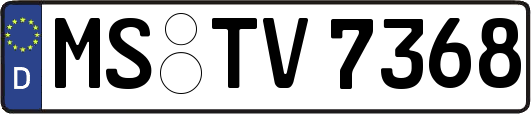 MS-TV7368