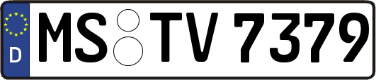 MS-TV7379