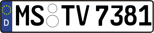 MS-TV7381