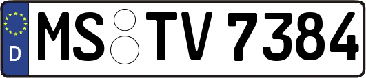 MS-TV7384