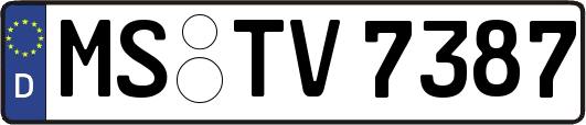 MS-TV7387