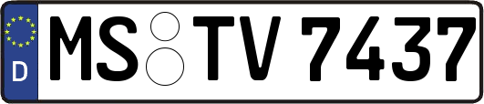 MS-TV7437