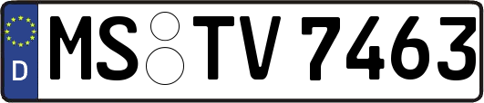 MS-TV7463